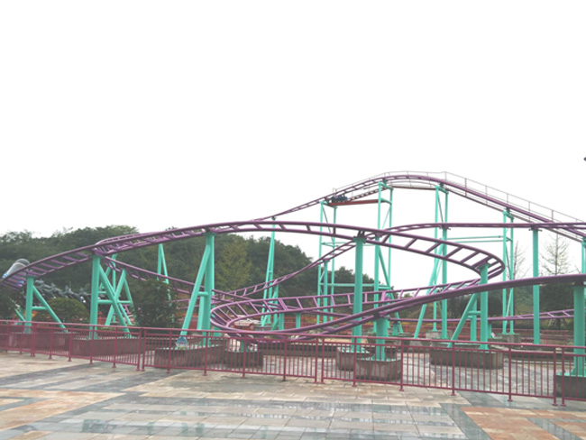 Family roller coaster rides